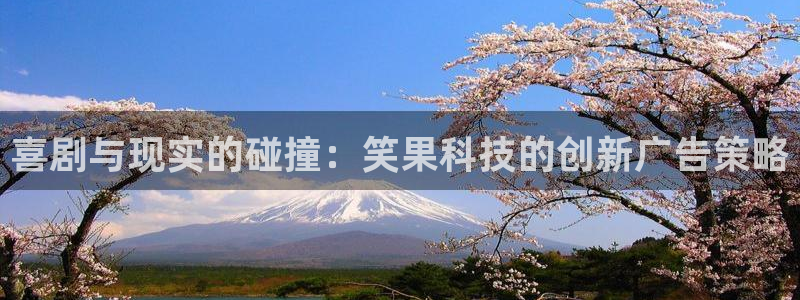高德娱乐