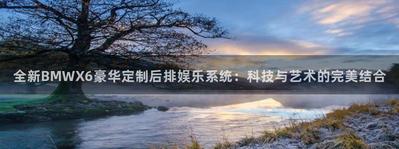 高德娱乐：全新BMWX6豪华定制后排娱乐系统：科技与艺术的完美结合