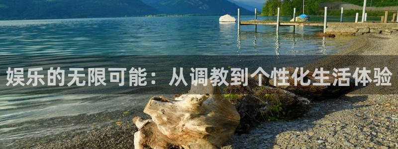 高德娱乐：娱乐的无限可能：从调教到个性化生活体验