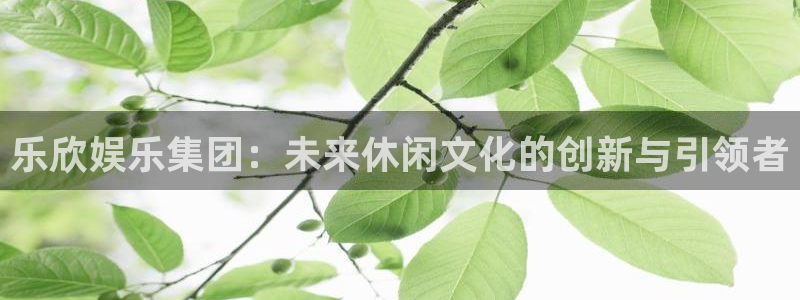高德娱乐：乐欣娱乐集团：未来休闲文化的创新与引领者