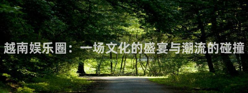 高德娱乐：越南娱乐圈：一场文化的盛宴与潮流的碰撞