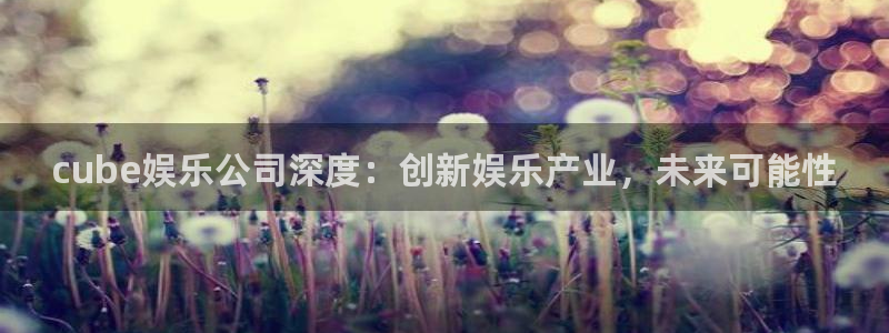 高德娱乐：cube娱乐公司深度：创新娱乐产业，未来可能性